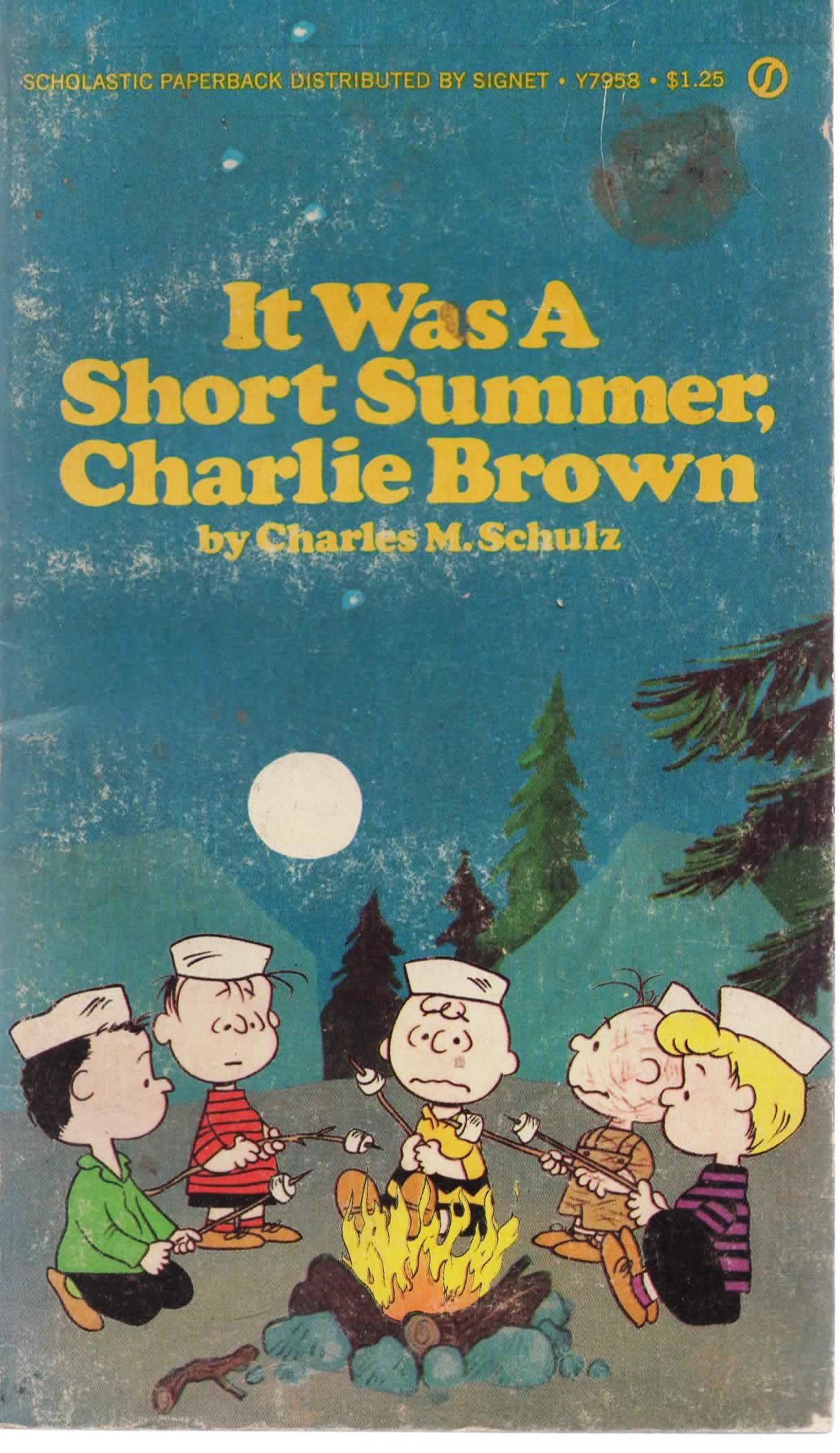 Image for It Was A Short Summer, Charlie Brown