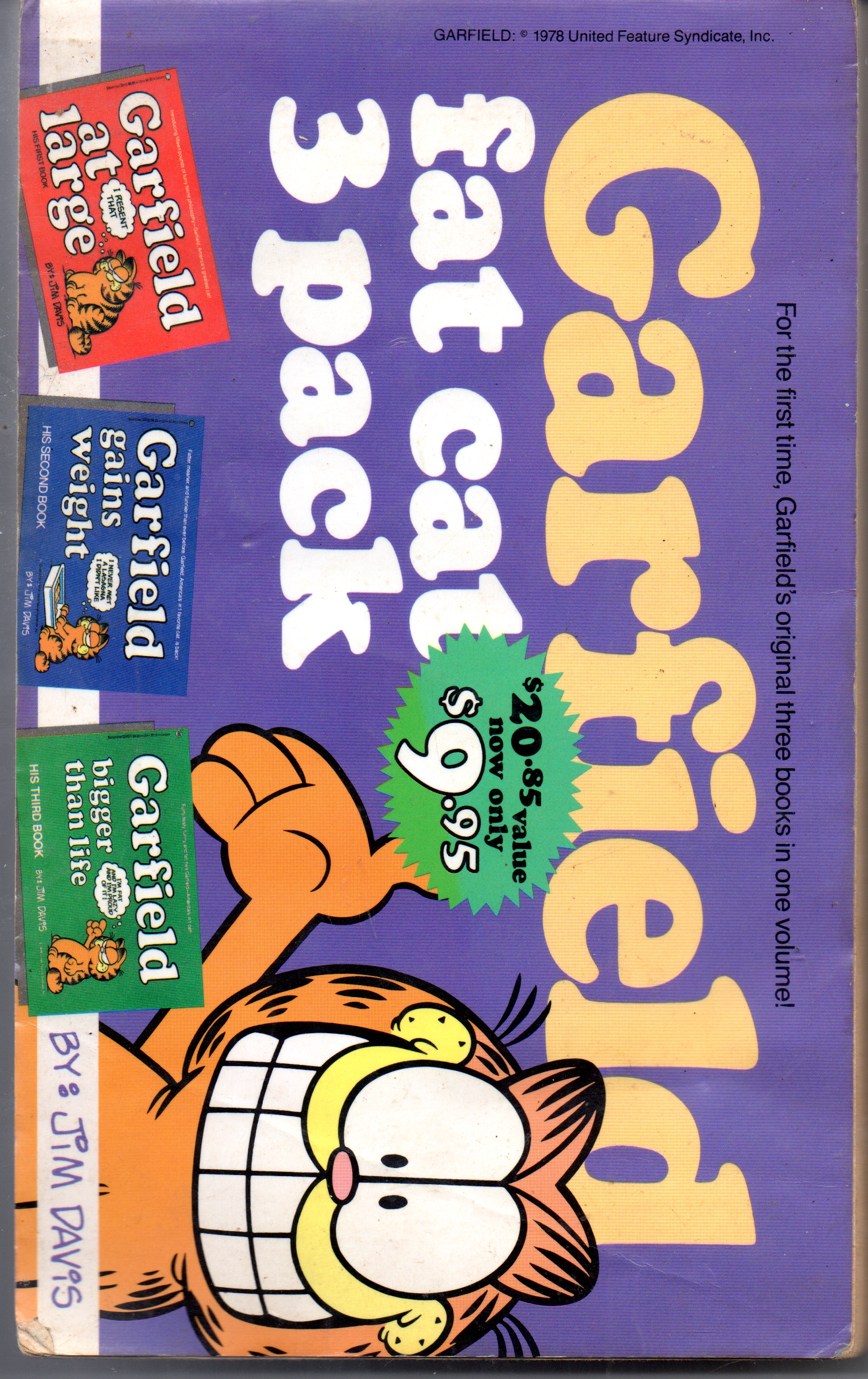 Garfield At Large: Fat Cat 3 Pack