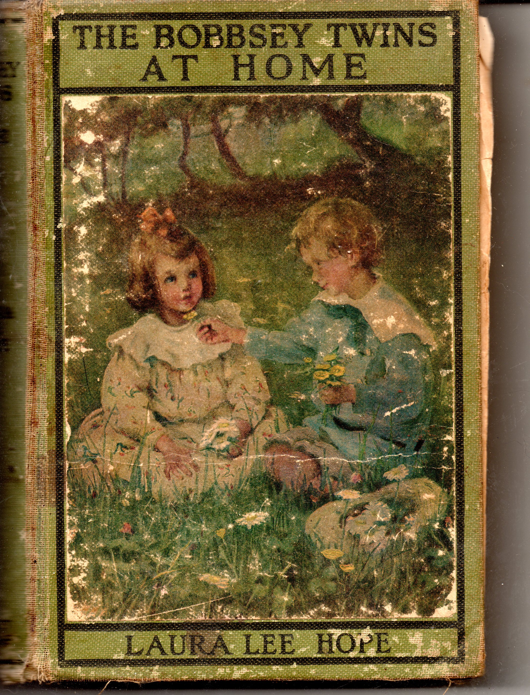 The Bobbsey Twins At Home