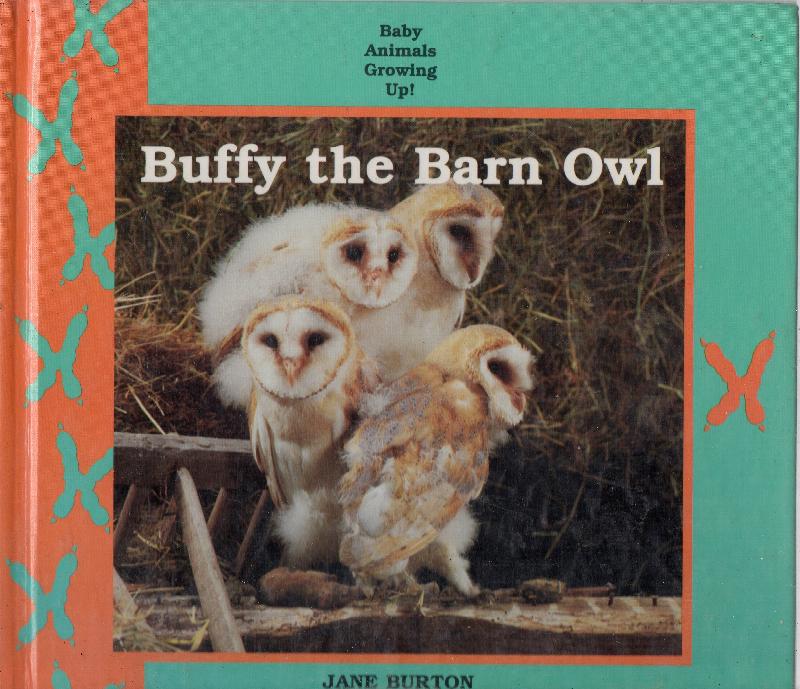 Image for Buffy The Barn Owl: Baby Animals Growing Up
