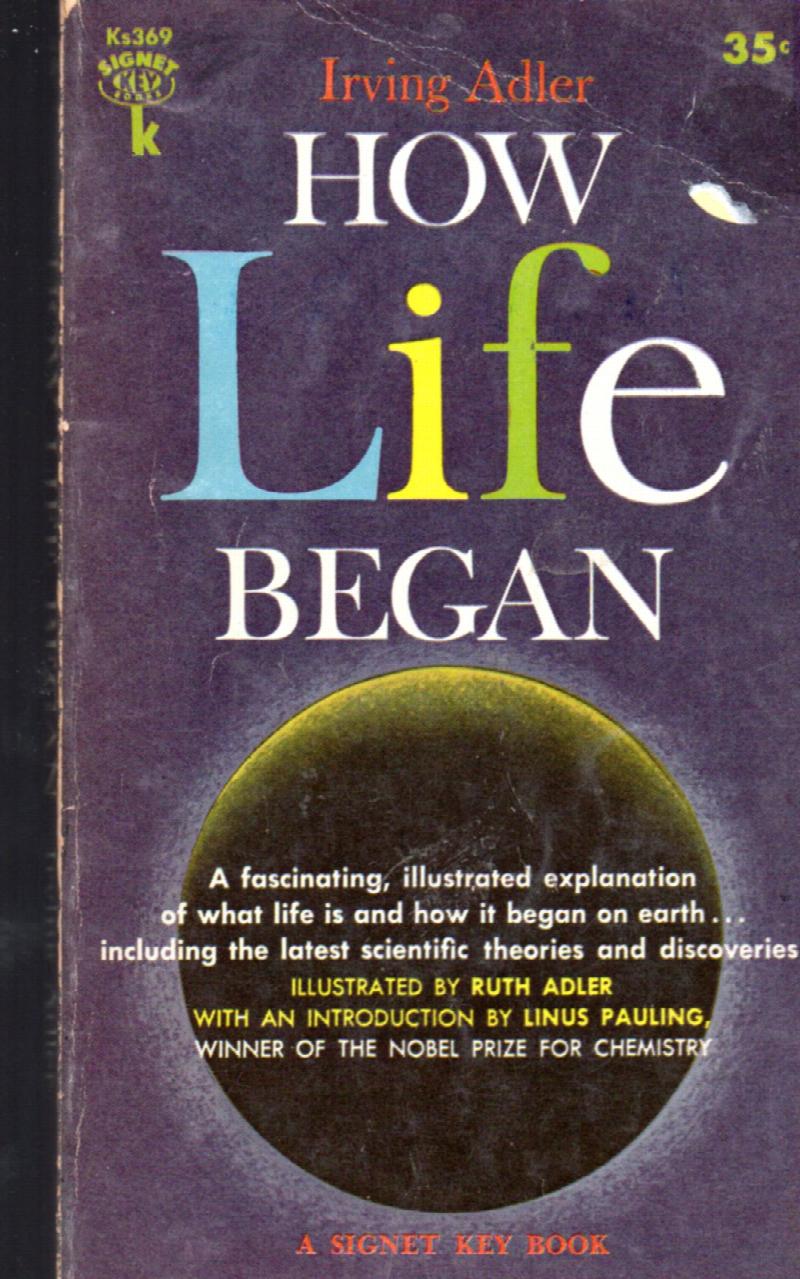 Image for How Life Began