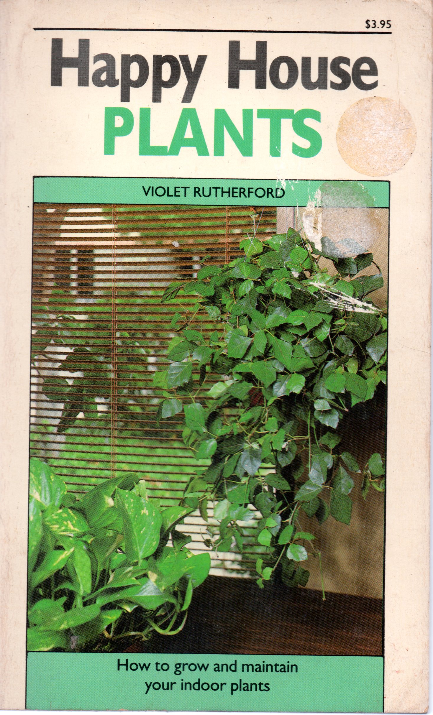Happy House Plants