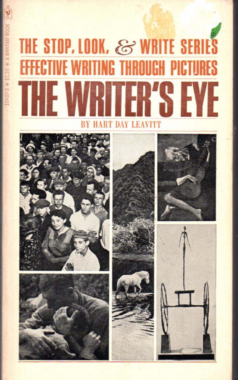 Image for The Writer's Eye
