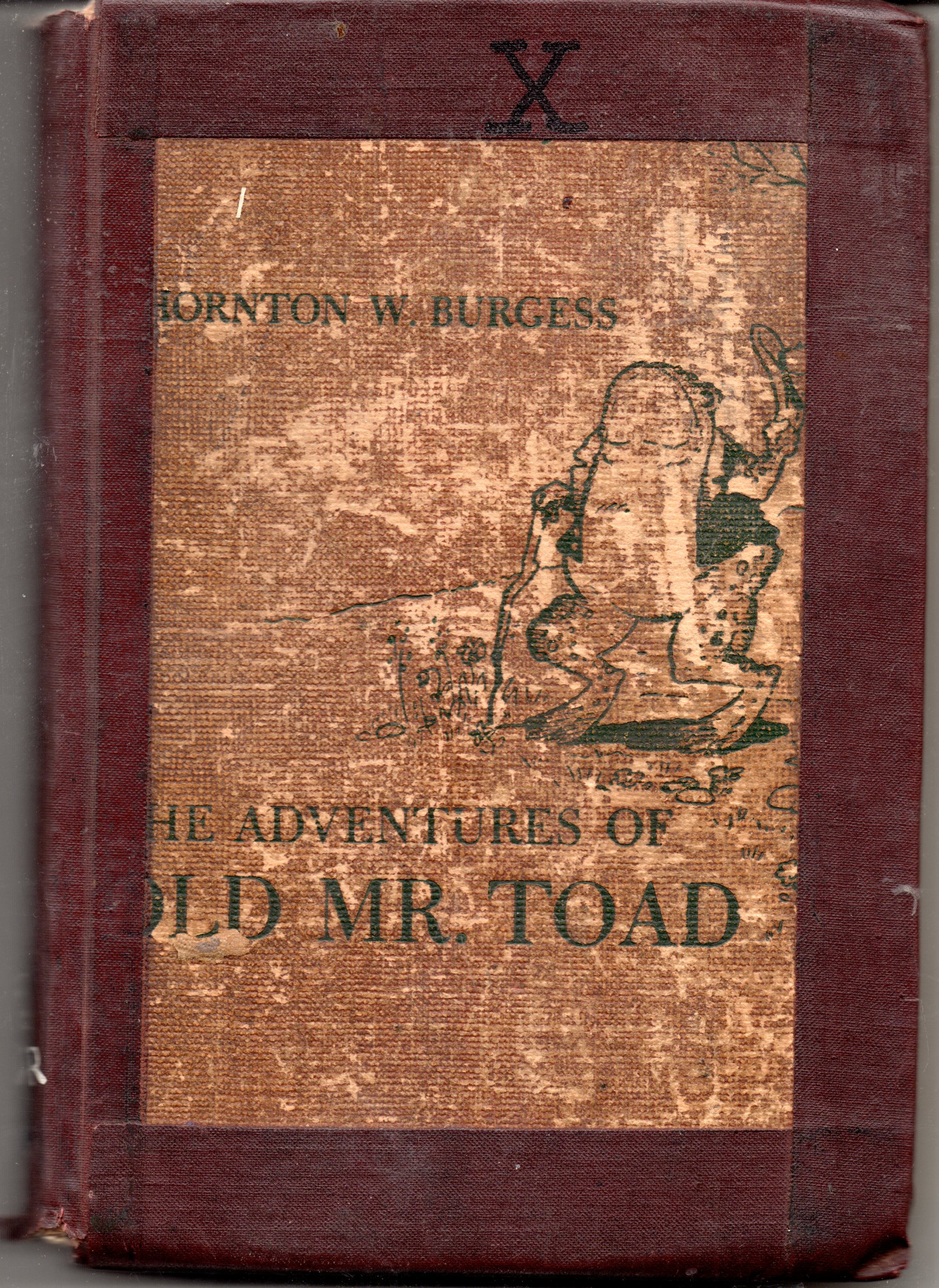 The Adventures of Old Mr. Toad