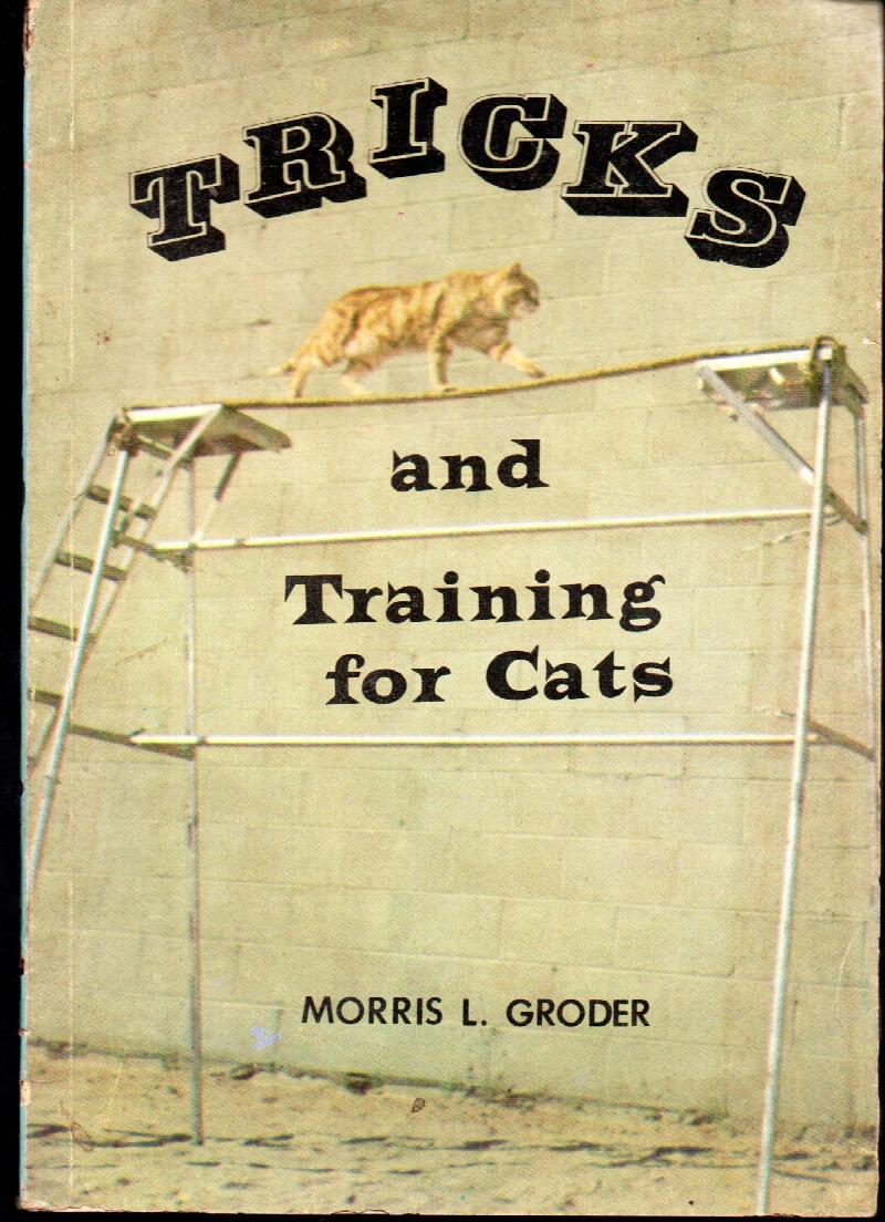 Image for Tricks And Training For Cats