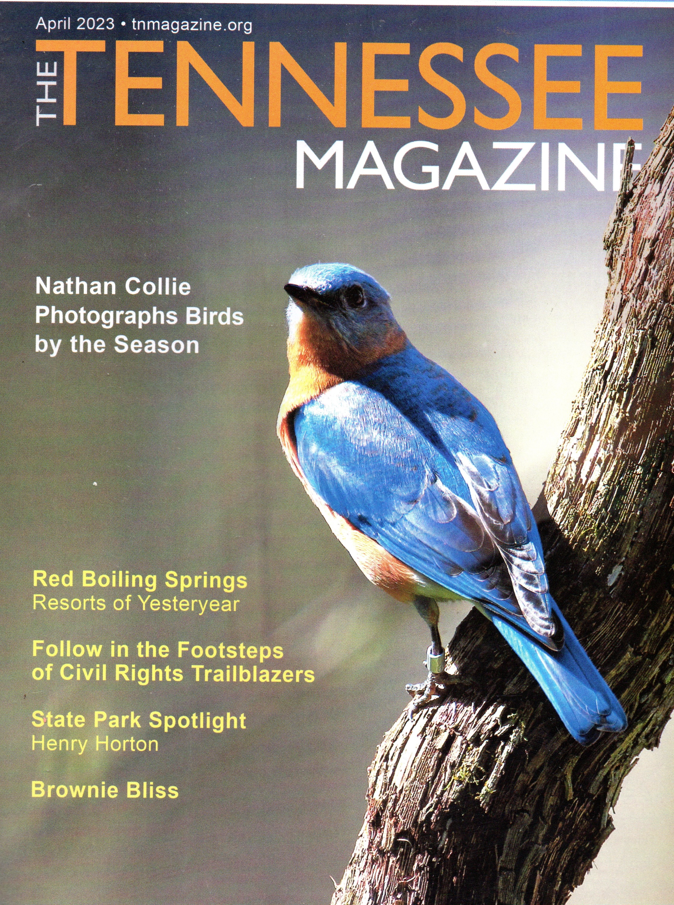 The Tennessee Magazine - April 2023