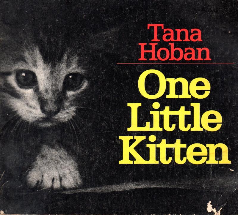 Image for One Little Kitten