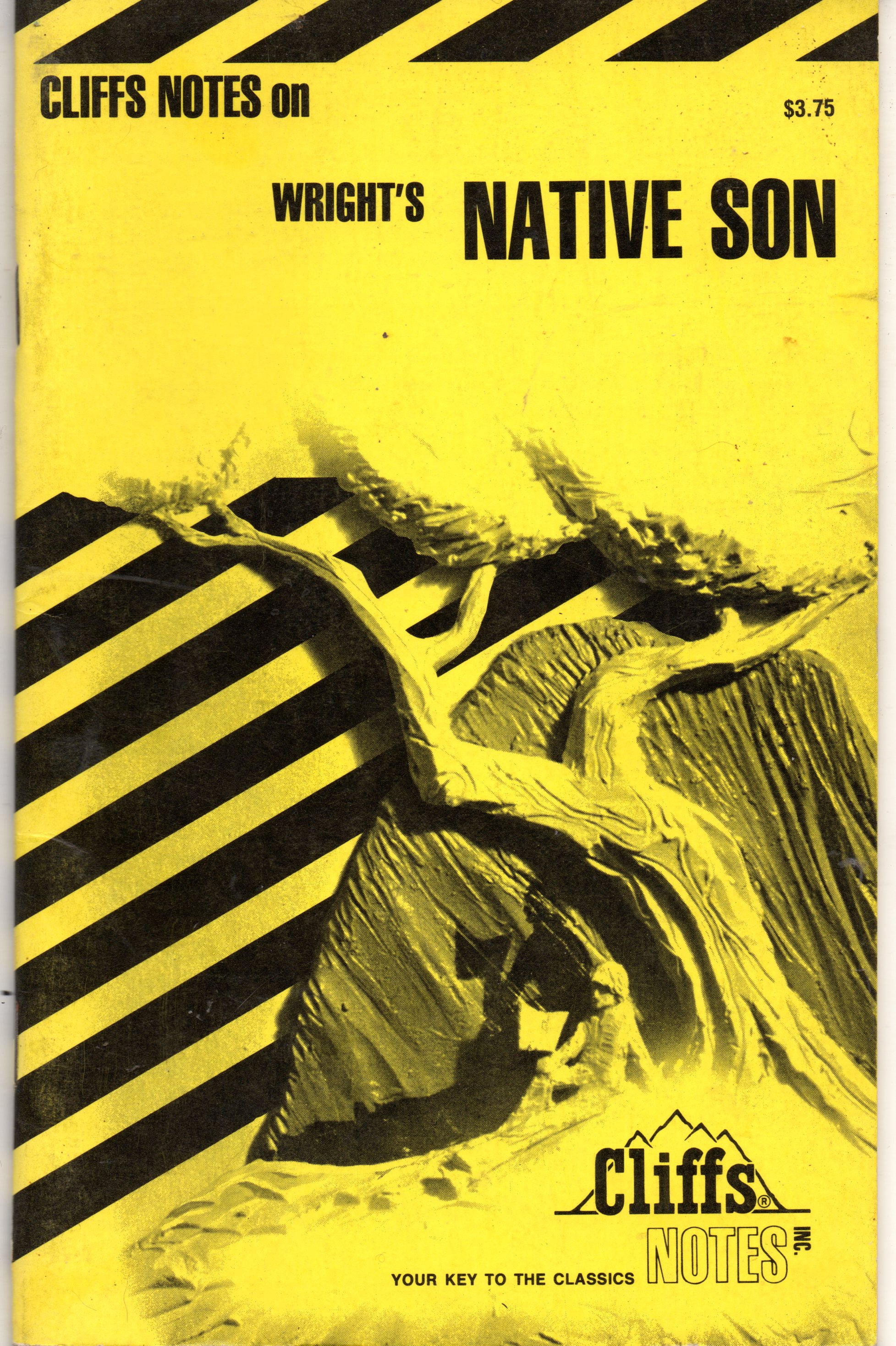 Cliffs Notes on Wright's Native Son
