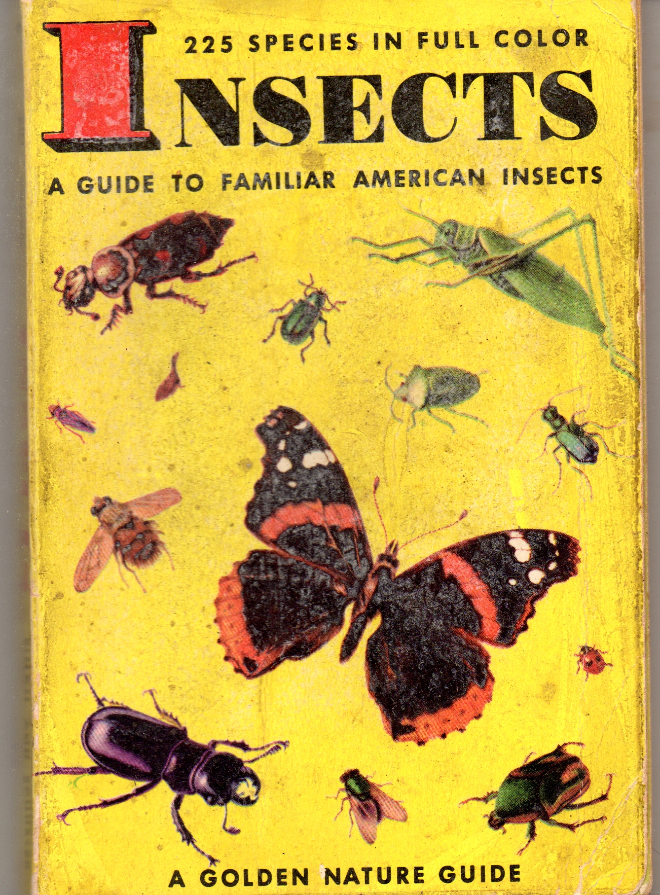 Insects: A Guide To Familiar American Insects