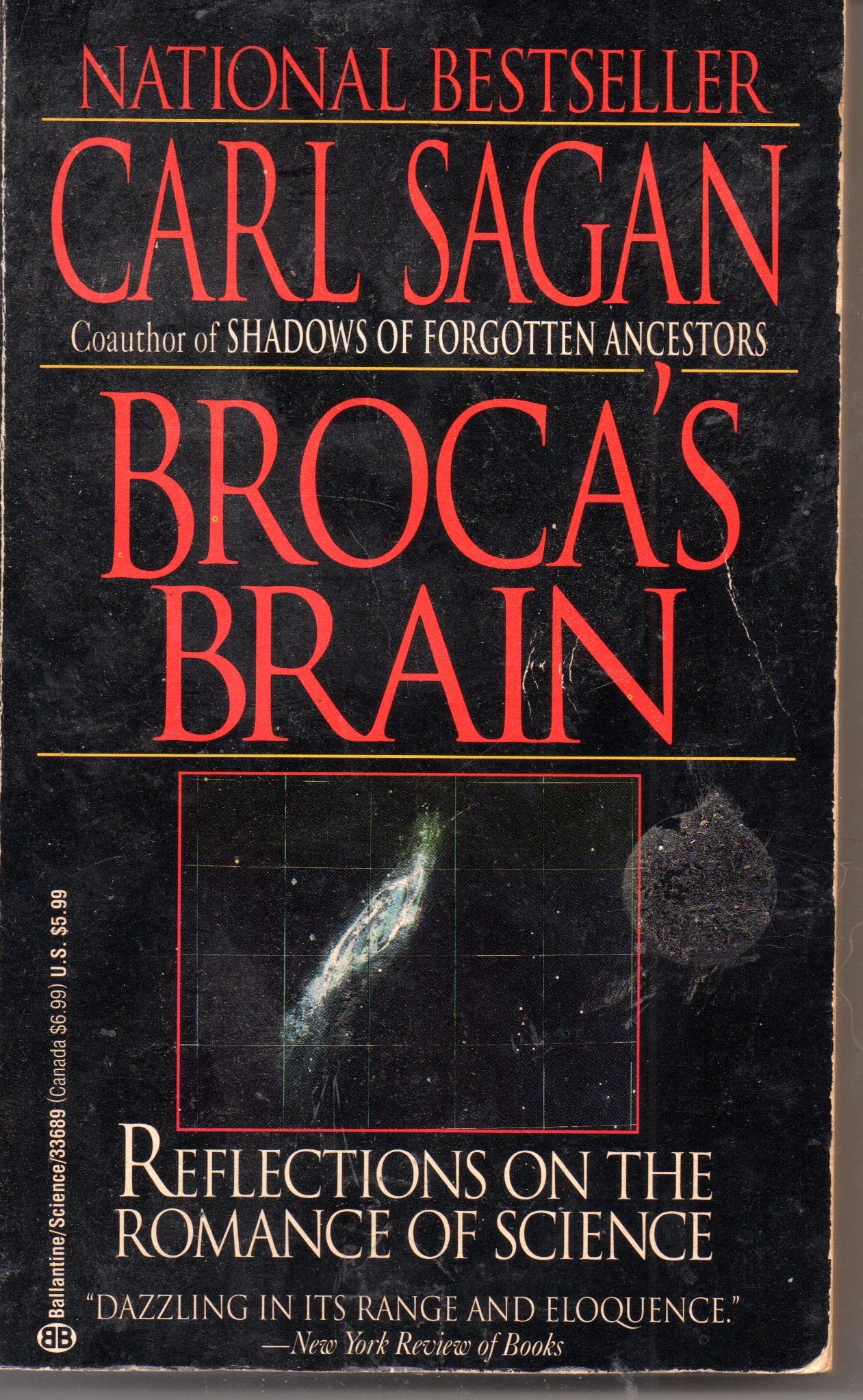 Broca's Brain